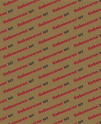 Gabaneuron_NT-300