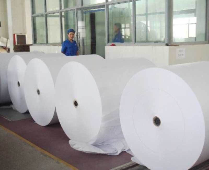 Biodegradable and inert aqueous Coated Papers/ board (GSM 140 to 360 GSM)